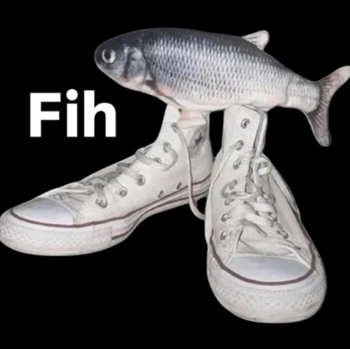 FIH shoes meme